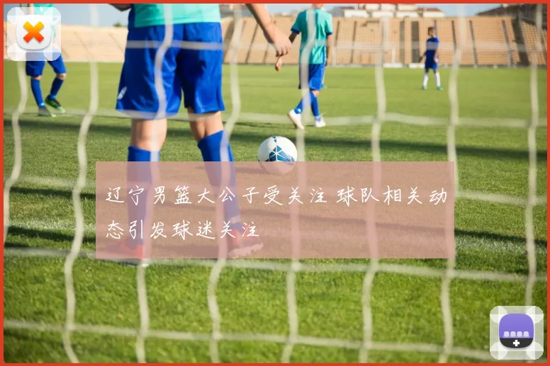 辽宁男篮大公子受关注 球队相关动态引发球迷关注