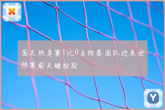 国足热身赛1比0击败泰国队迎来世预赛前关键检验