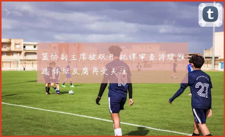 篮协副主席被双开 纪律审查持续推进 体坛反腐再受关注